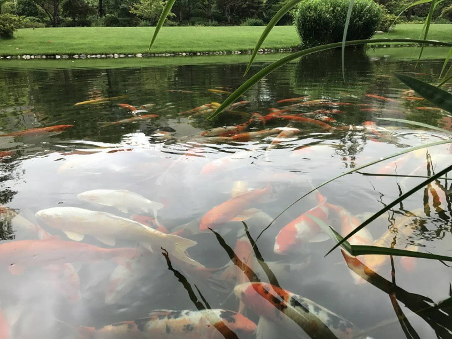 鱼池过滤器