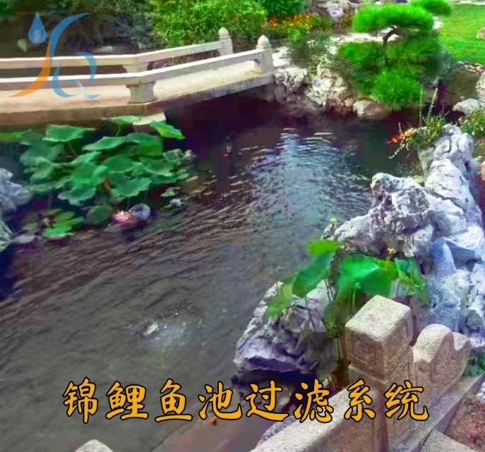 锦鲤鱼池过滤