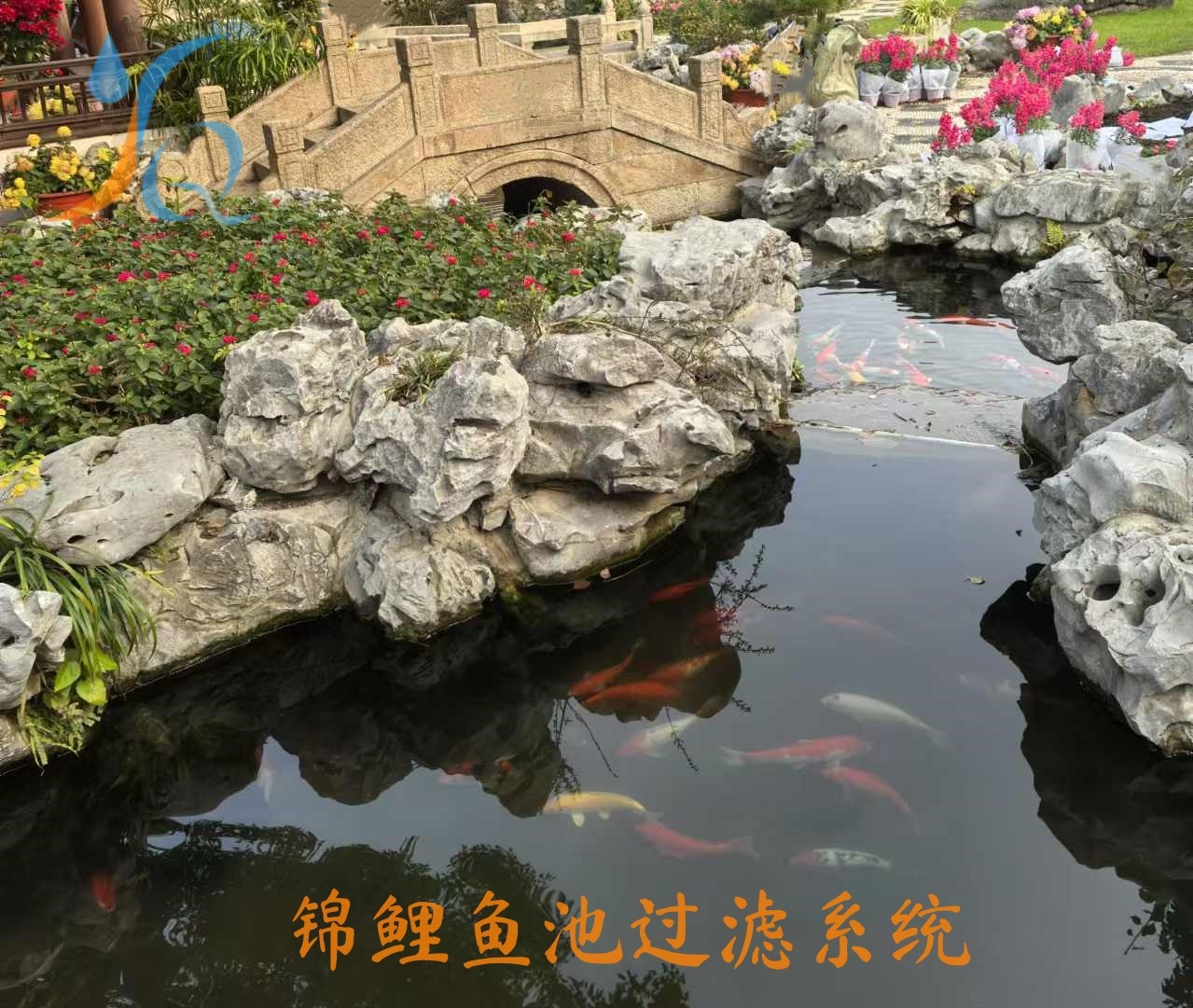 锦鲤鱼池过滤系统.jpg
