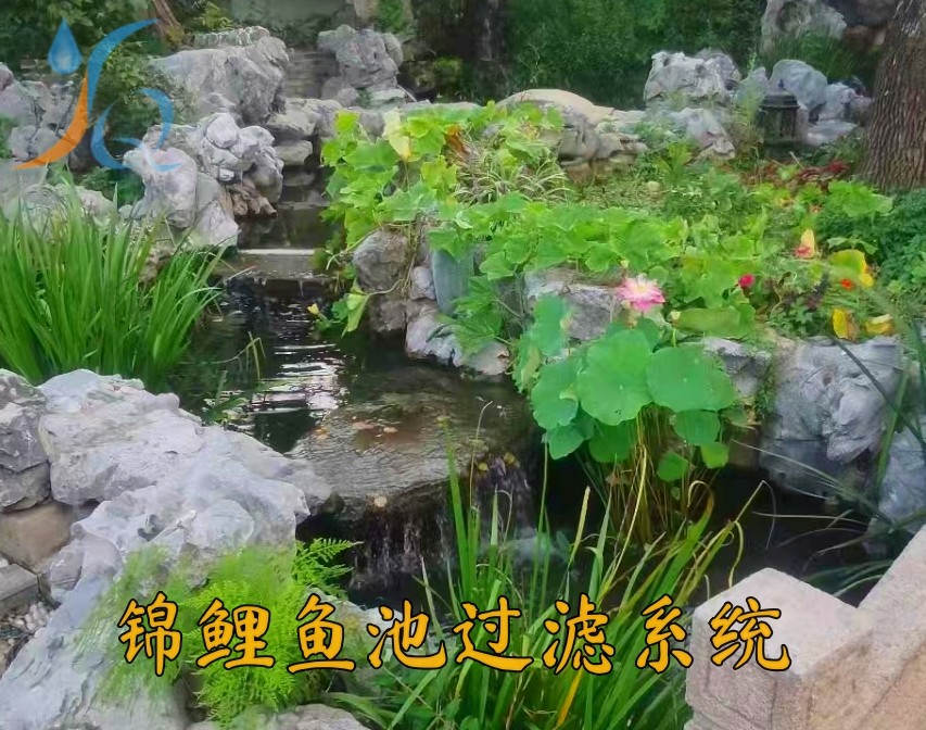 锦鲤鱼池过滤